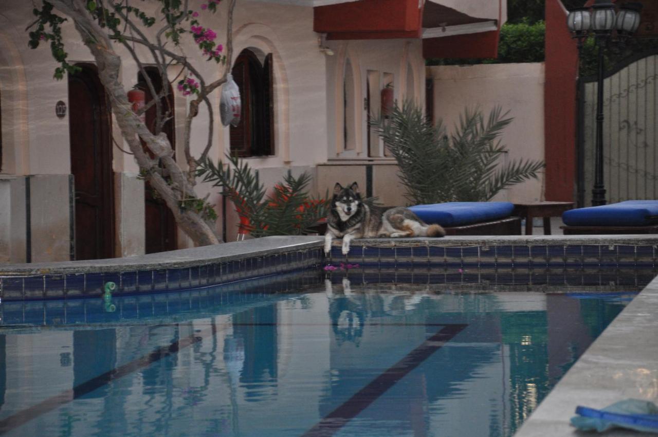 Dahab Plaza Hotel Esterno foto